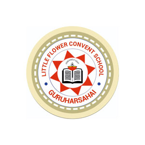 Little-Flower-Convent-School,-Guruharsahai