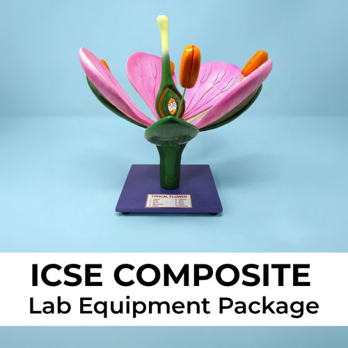 ICSE Lab Package (For Class IX-X)